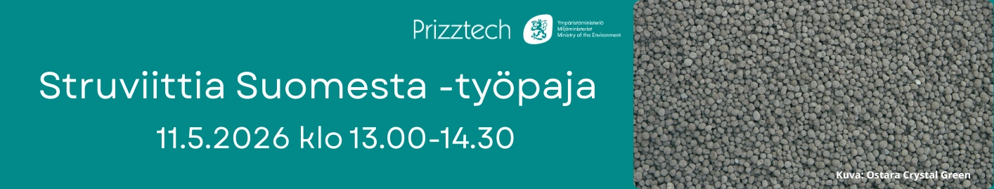 Struviittia Suomesta työpaja