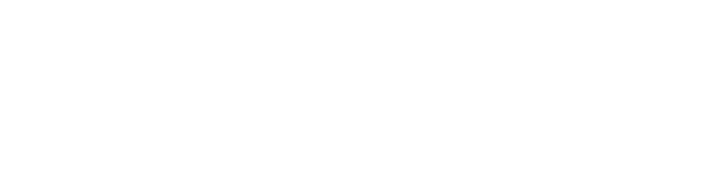 Netvisor logo