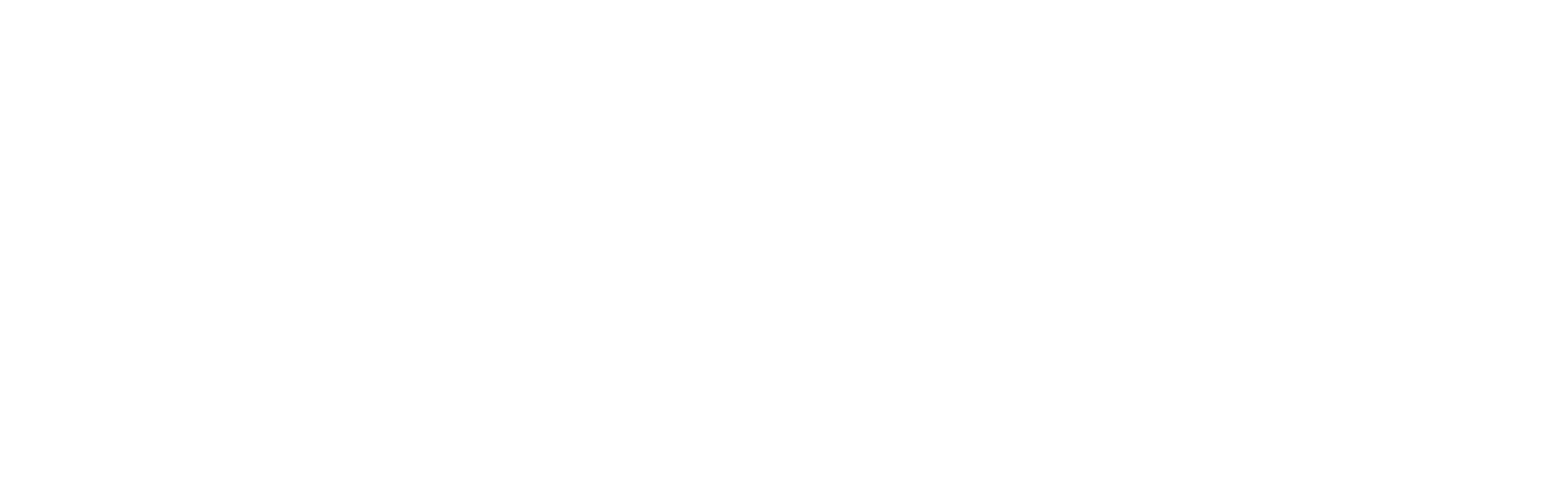 Fivaldi logo nega