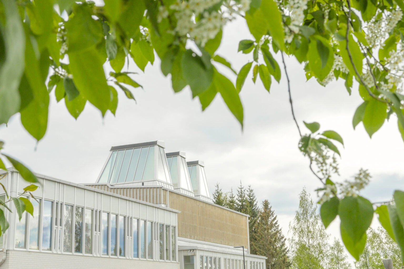 Aineen taidemuseo/Eija Mäkivuoti
