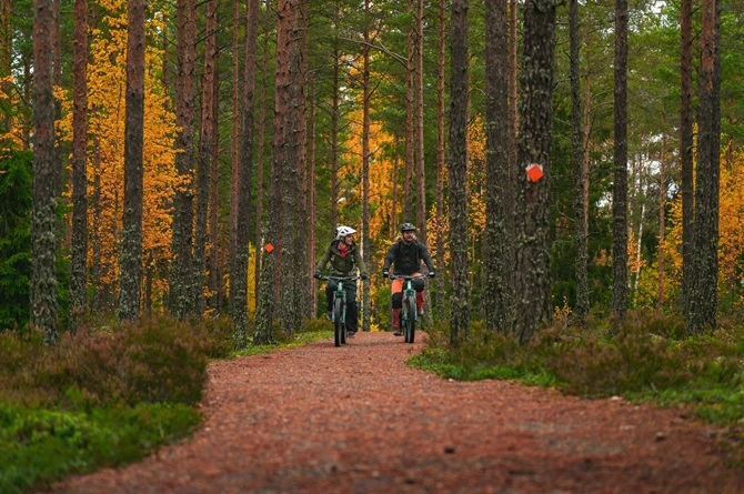 Kaksi pyöräilijää syksyisessä Teijon kansallispuistossa